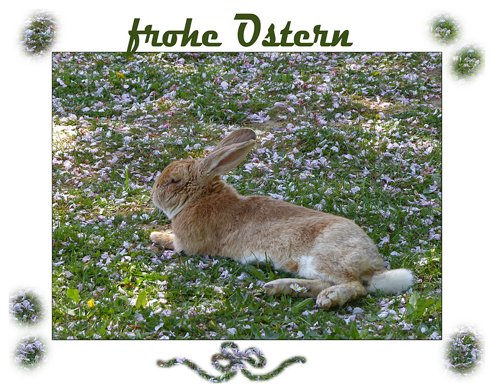 frohe ostern