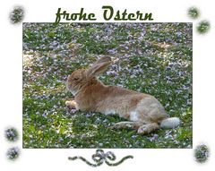 frohe ostern