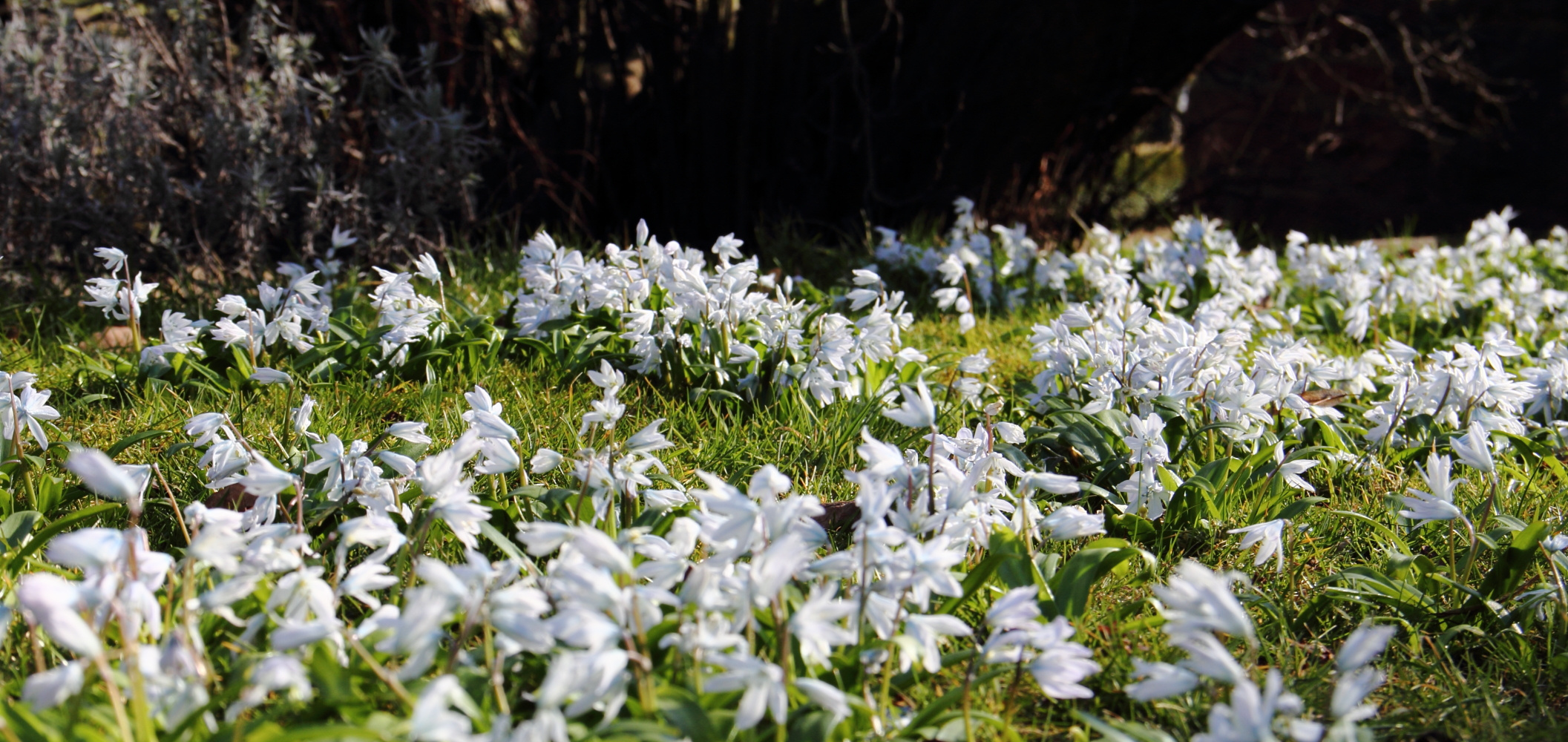 Frohe Ostern!