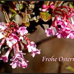 Frohe Ostern