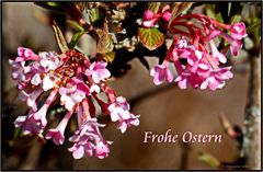 Frohe Ostern