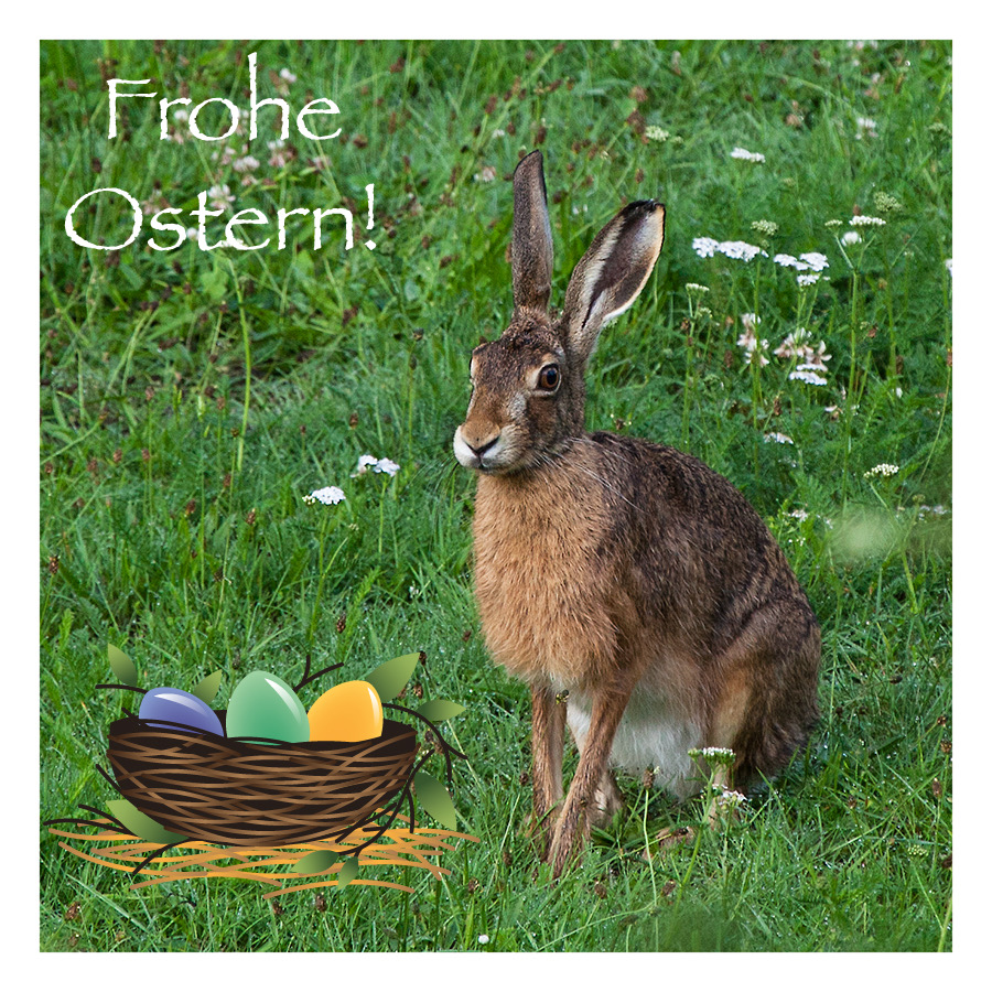 Frohe Ostern!