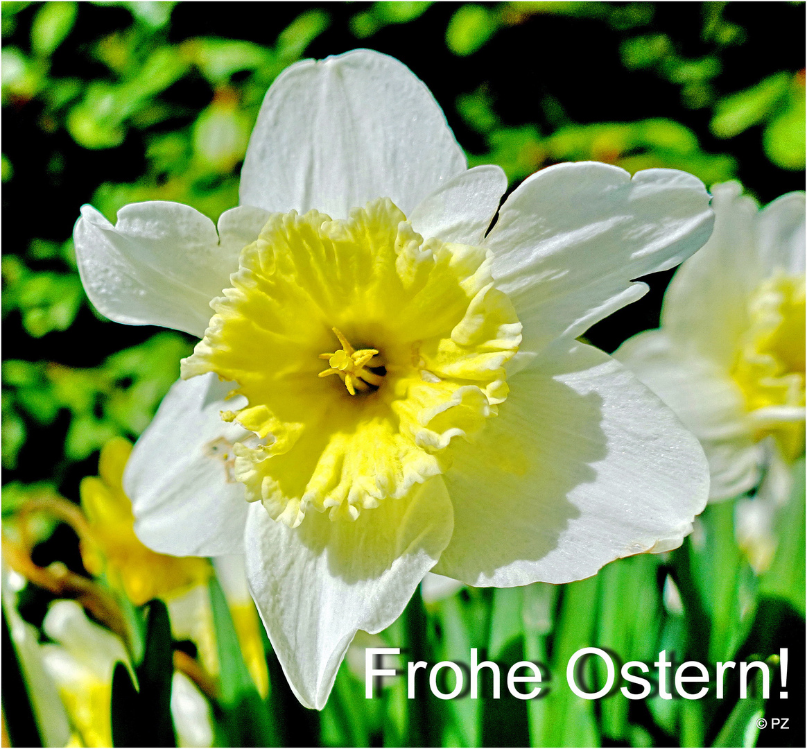 "Frohe Ostern!" ...