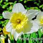 "Frohe Ostern!" ...