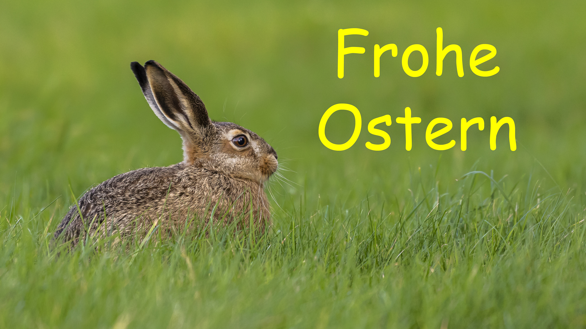 Frohe Ostern