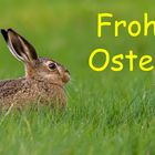 Frohe Ostern