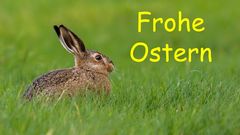 Frohe Ostern