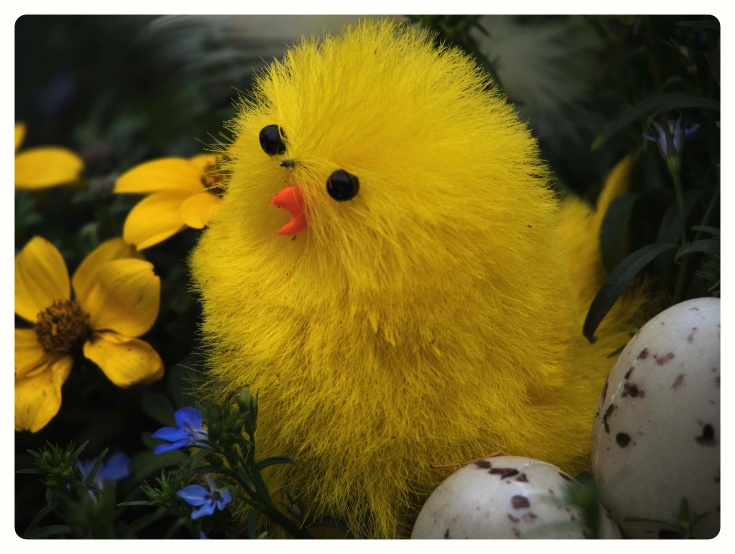 Frohe Ostern...