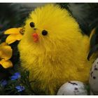 Frohe Ostern...