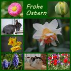 Frohe Ostern