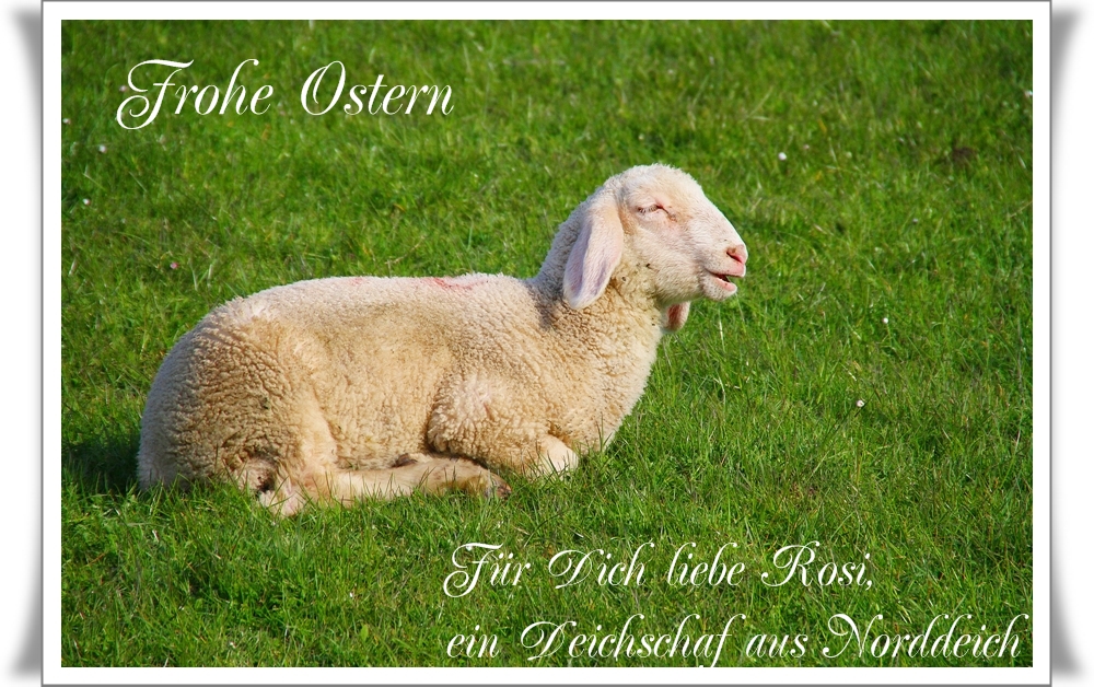 Frohe Ostern