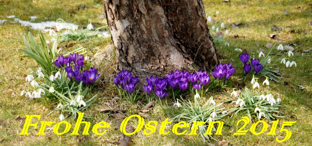 Frohe Ostern