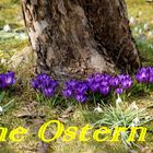 Frohe Ostern