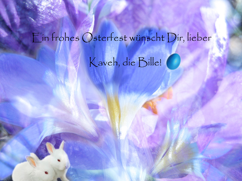 frohe ostern!