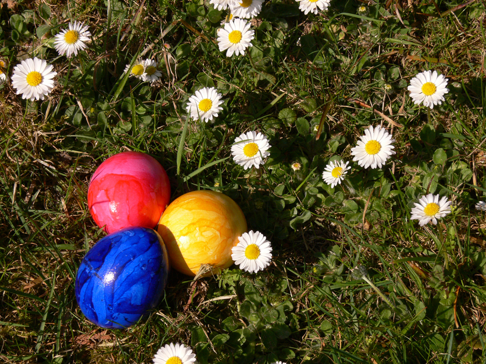 Frohe Ostern... Foto & Bild | jahreszeiten, frühling, natur Bilder auf