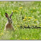 Frohe Ostern