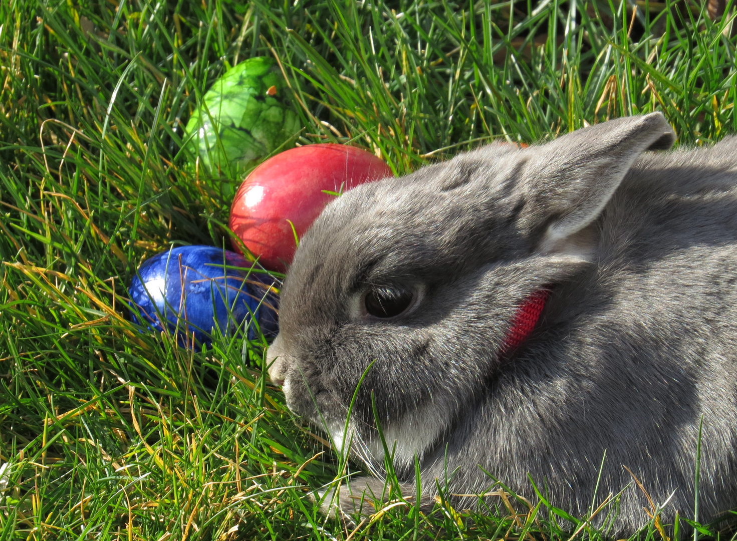 Frohe Ostern