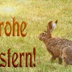 Frohe Ostern!