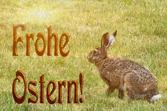 Frohe Ostern!