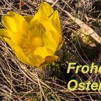 Frohe Ostern