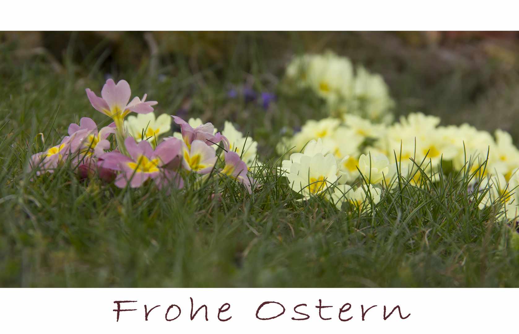 FROHE OSTERN