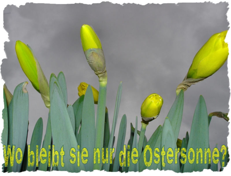 ........Frohe Ostern........