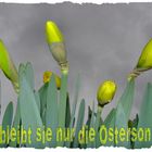 ........Frohe Ostern........