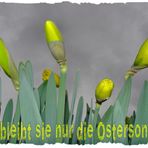 ........Frohe Ostern........