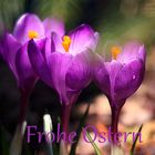  Frohe Ostern 