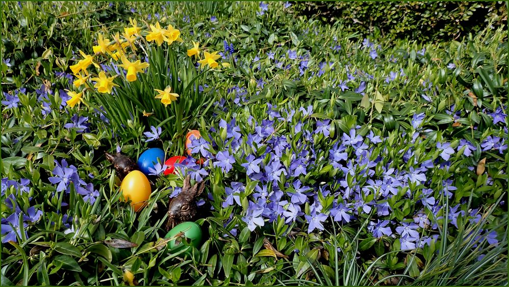 Frohe Ostern... Foto & Bild | frühling, ostern, natur Bilder auf
