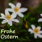 Frohe Ostern