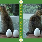 Frohe Ostern