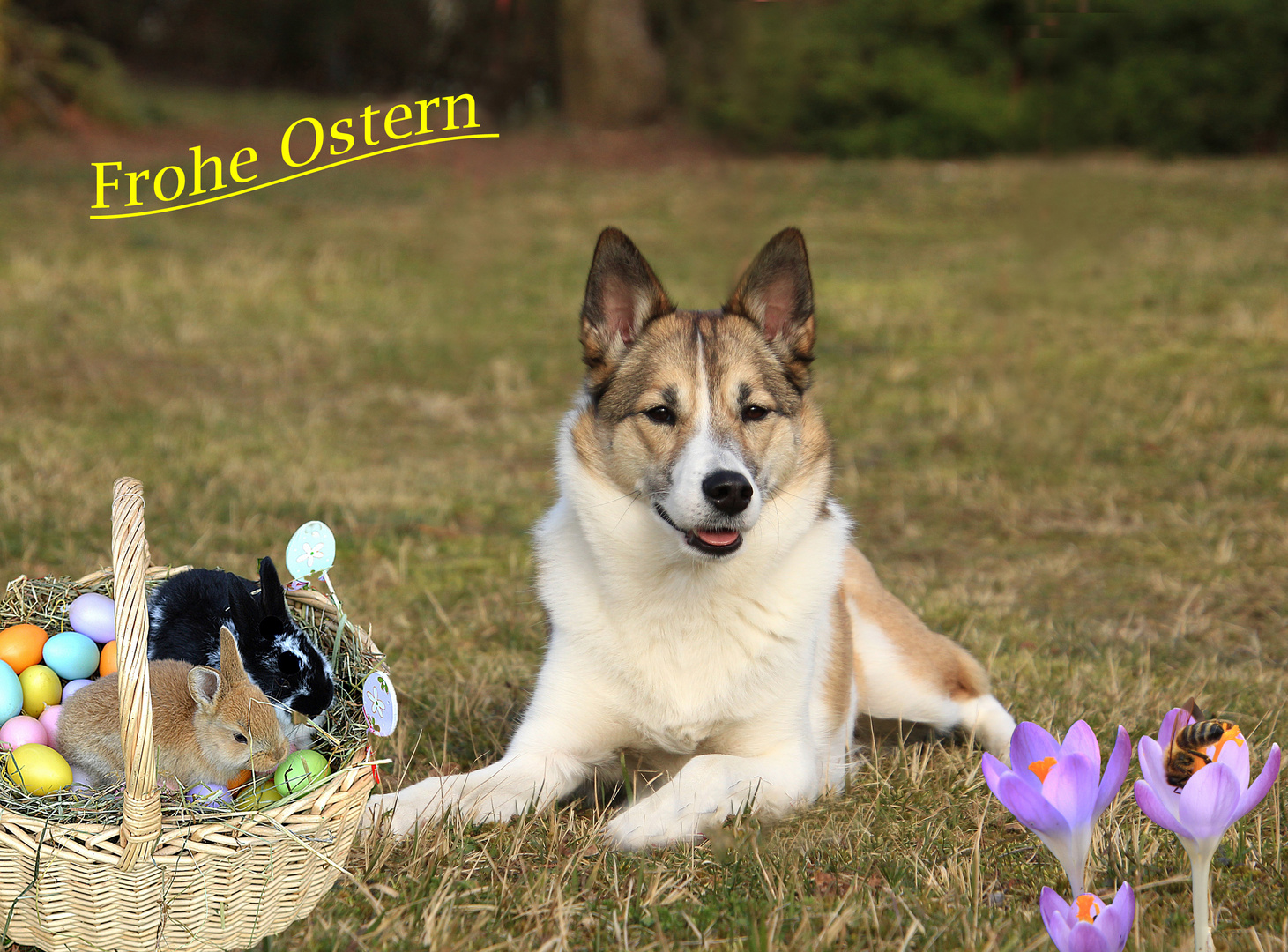 Frohe Ostern.....