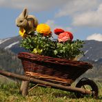 Frohe Ostern...