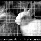 Frohe Ostern..