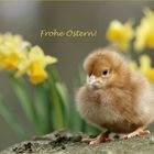 Frohe Ostern!