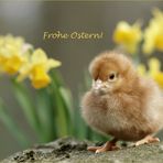 Frohe Ostern!