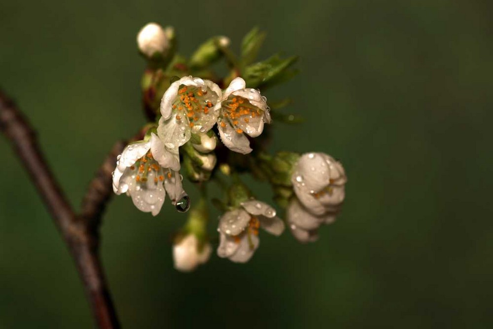 Frohe Ostern ...