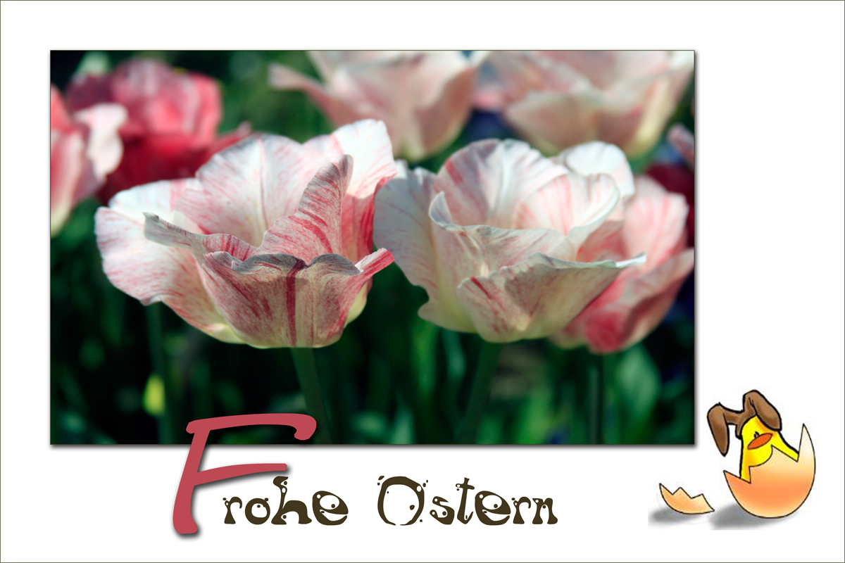 Frohe Ostern