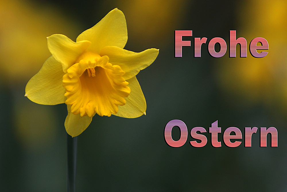 Frohe Ostern