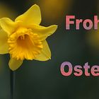 Frohe Ostern