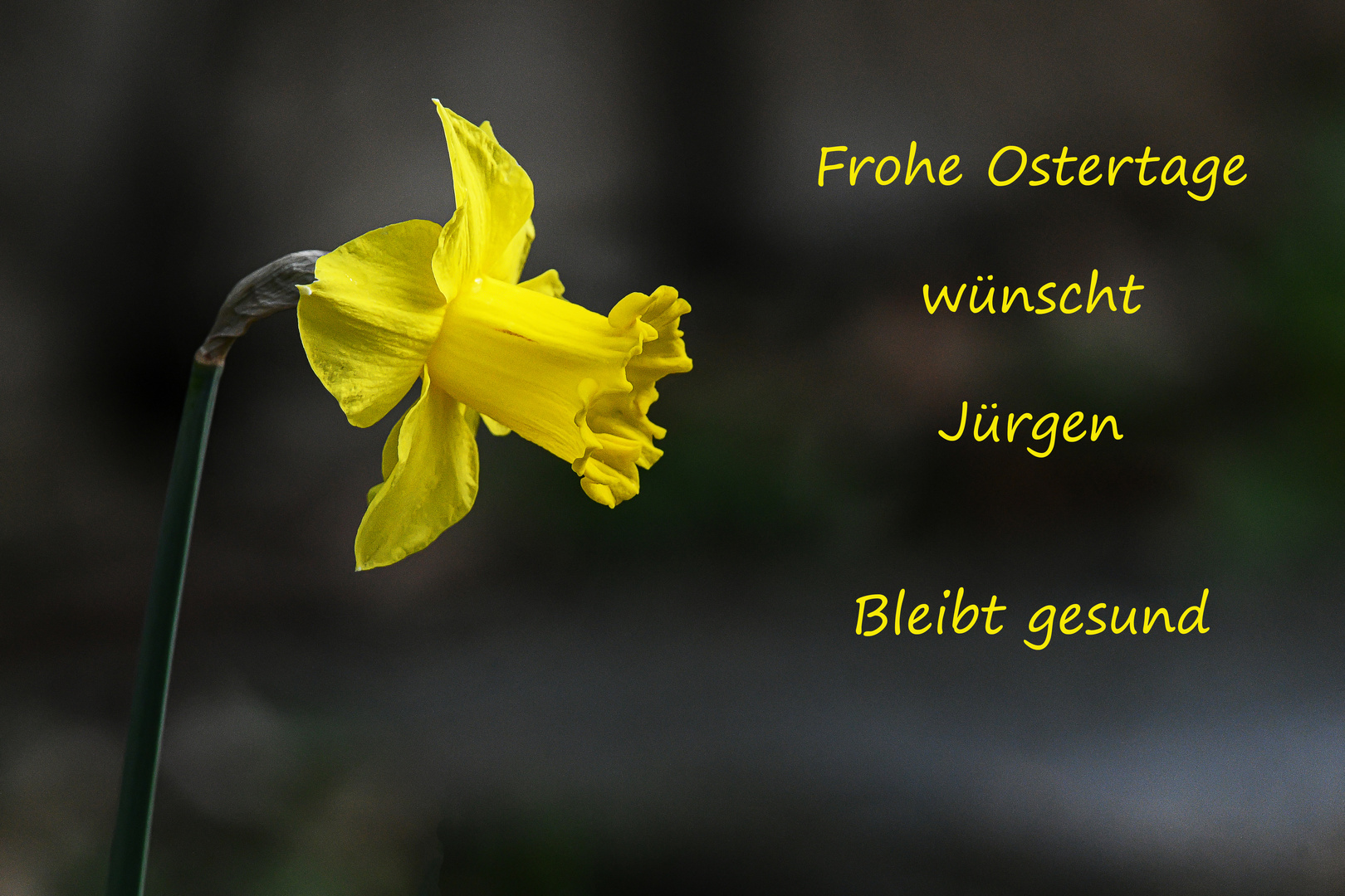 Frohe Ostern