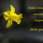 Frohe Ostern