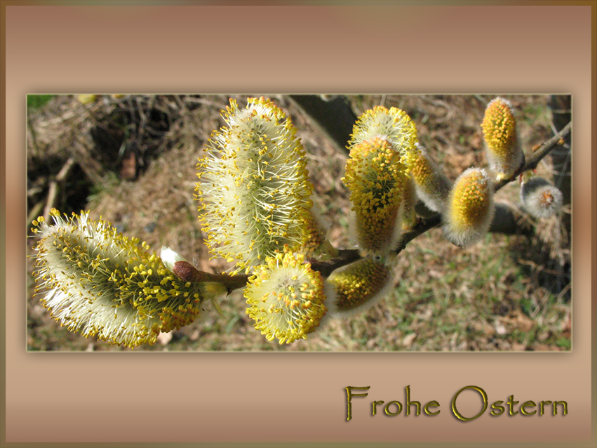 ...Frohe Ostern...