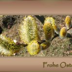 ...Frohe Ostern...