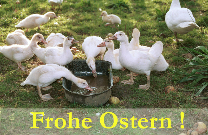 Frohe Ostern 2006 :-))