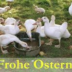 Frohe Ostern 2006 :-))