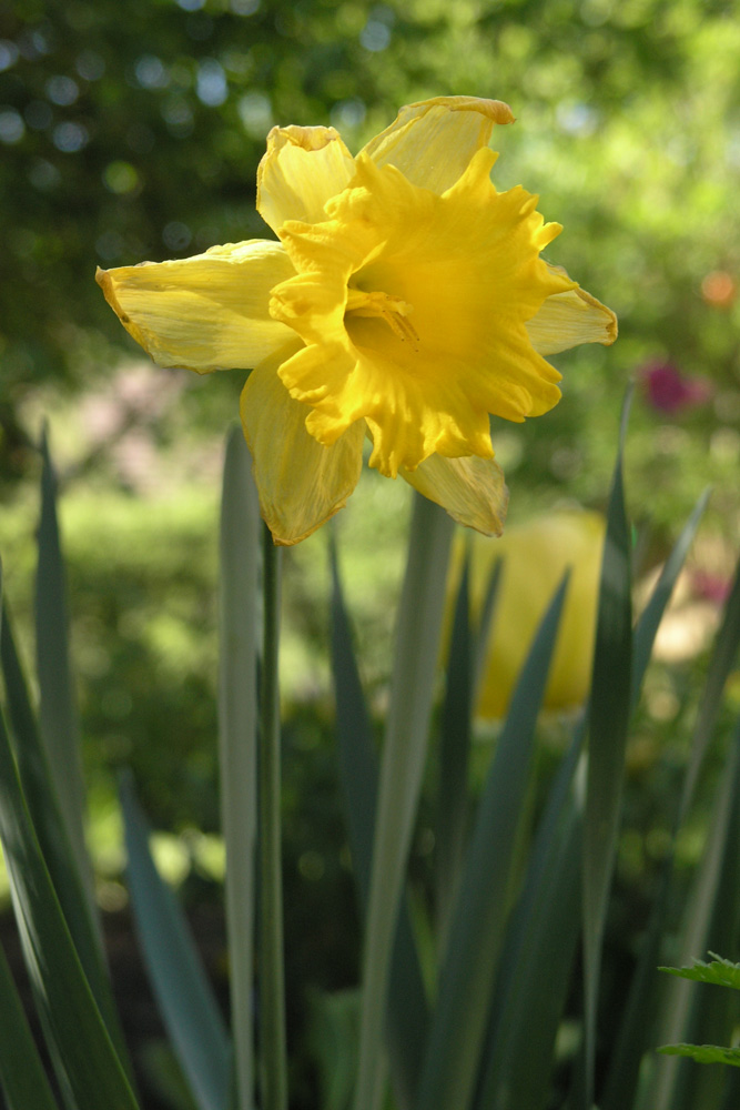 Frohe Ostern 2009