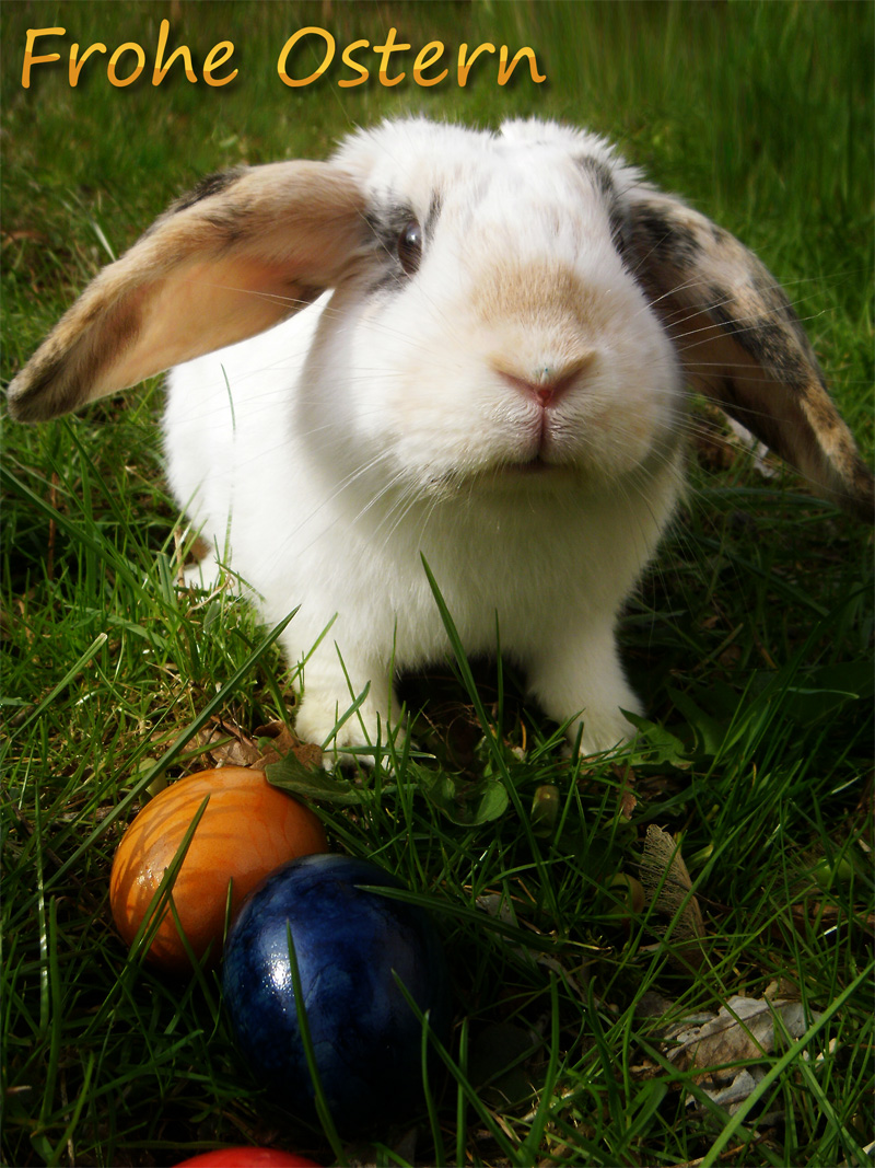 Frohe Ostern 2010