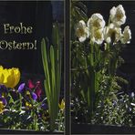 __Frohe Ostern! 2010 __________________________________________________________ Frohe Ostern! 2010__